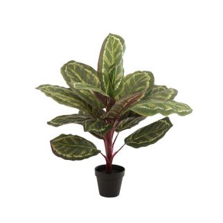 plante artificielle feuilles