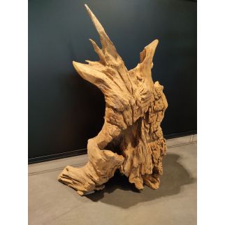 Racine en teck H 70 cm