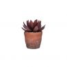 Plante artificielle Terracotta Love - Figue