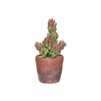 Plante artificielle...