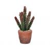 Plante artificielle Terracotta Love - Large