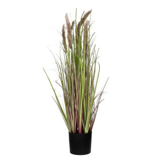 Composition d'herbes...