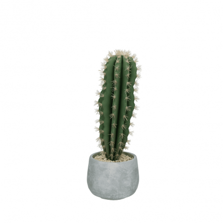 cactus long pomax