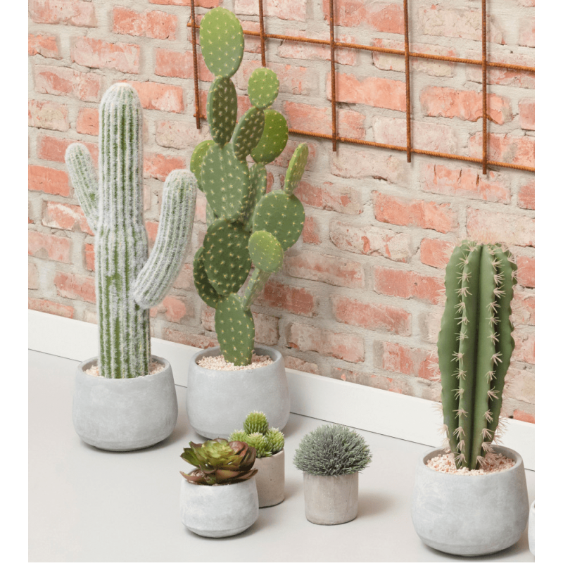 Cactus artificiel en pot, Plante artificielle