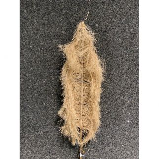 feuille de palmier