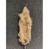 feuille de palmier