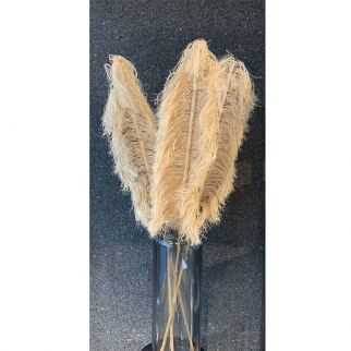 Éventail à feuilles grand palmier H 150 cm