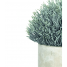 Herbes fines en pot Garrigue pour l intérieur - PVC / terracotta