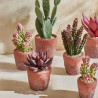 Plante artificielle en pot Terracotta Love Small - Ø 8,5 X H 18,5 cm