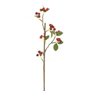 branche de baies fines rouge et vert