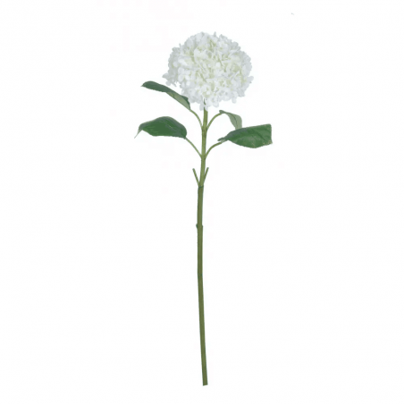Branche de hydrangea