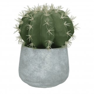 Cactus artificiel en pot de ciment