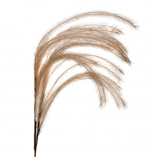 Plume artificielle