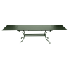 Table acier ROMANE – 2m/3m x 1m - Cactus