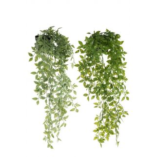 Plante artificielle tombante en pot – H 72 cm