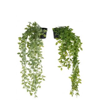 Plante artificielle tombante en pot – H 72 cm
