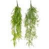 Plante tombante