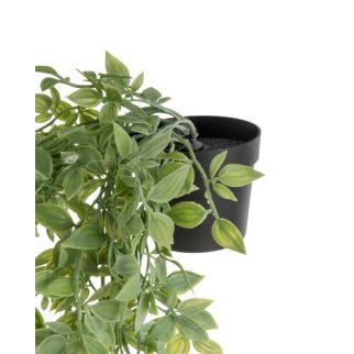 Plante artificielle tombante en pot – H 72 cm