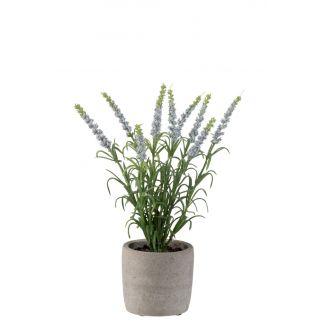 Lavande artificielle