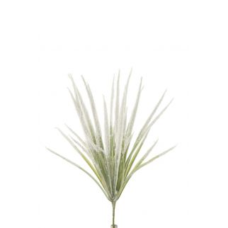 Fagot Herbes Neige...
