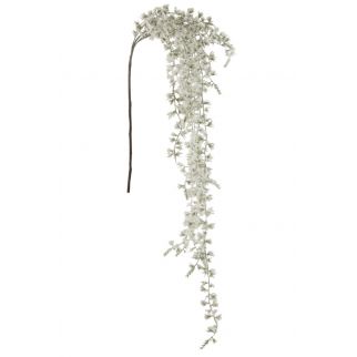 Fagot branches de pin - H...