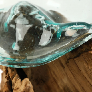 Racine teck avec verre Ø16 X H27 cm