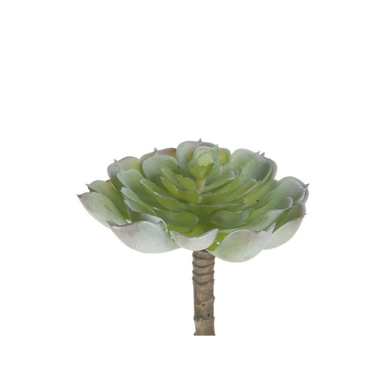 Branche de Succulente artificielle (13 cm)