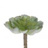 Branche de Succulente artificielle (13 cm)