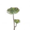 Branche de Succulente artificielle (30 cm)