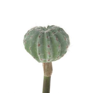 Cactus artificiel rond à piquer, hauteur 18 cm